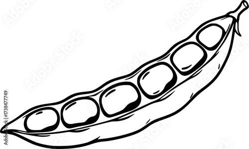 Black and white outline drawing of a single bean pod silhouette isolated on white background
