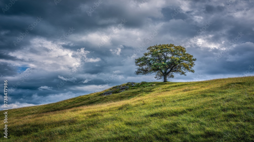 Obraz premium Stunning photo of lone tree stands on a grassy hill under a dramatic, cloudy sky.