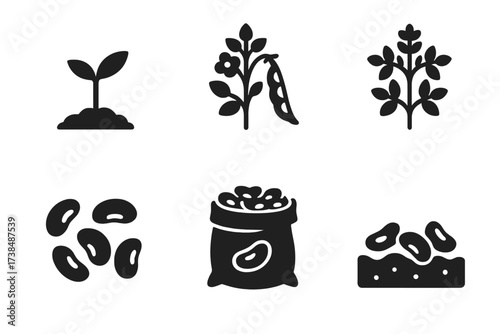 Legume Growth Stages. Solid, filled icon set of legume plant stages: seedling sprout, flowering legume plant, bean pod growing, mature bean plant, harvested