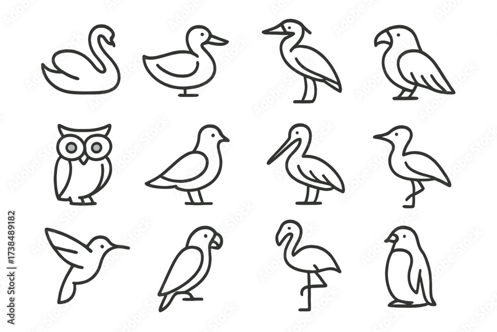 Fototapeta premium Bird Icon Set. Birds. Line icon set of birds: swan, duck, heron, eagle, owl, dove, pelican, crane, hummingbird, parrot, flamingo, penguin. All outline icons in