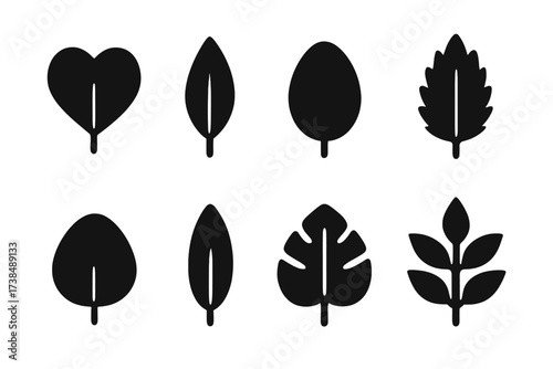 Leaf Icon Set. Solid, filled icon set of leaf shapes: heart-shaped leaf, lanceolate leaf, oval leaf, serrated leaf, rounded leaf, elongated leaf, split leaf,