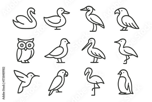 Bird Icon Set. Birds. Line icon set of birds: swan, duck, heron, eagle, owl, dove, pelican, crane, hummingbird, parrot, flamingo, penguin. All outline icons in