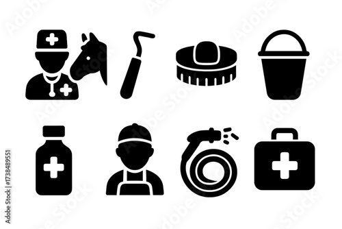 Horse Care Icons. Solid, filled icon set of horse care: veterinarian, hoof pick, brush, feeding bucket, medicine, stable boy, water hose, first aid kit. Solid,
