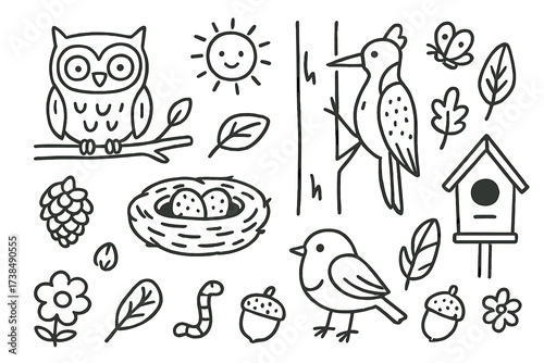 Woodland Animal Doodles. Hand-drawn doodle illustration woodland birds owl, woodpecker, robin, nest, eggs, tree branch, leaf, pinecone, butterfly, birdhouse,