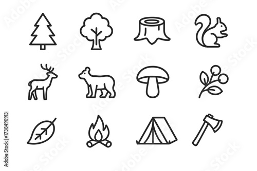 Forest Icon Set. Forests. Line icon set of forests: pine tree, oak tree, stump, squirrel, deer, bear, mushroom, berries, fallen leaf, campfire, tent, axe. All