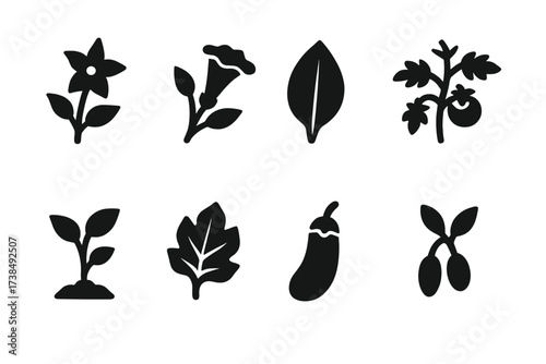 Nightshade Icon Grid. Solid, filled icon set of medicinal nightshades: belladonna, datura, tobacco leaf, tomato plant, potato sprout, eggplant leaf, capsicum