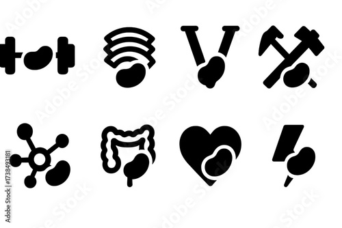 Navy Bean Nutrition Icons. Solid, filled icon set of navy bean nutrition: protein, fiber, vitamins, minerals, antioxidants, digestive health, heart health,