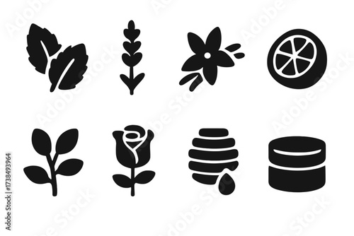 Balm Scent Icons. Solid, filled icon set of solid balm scents: mint, lavender, vanilla, citrus, eucalyptus, rose, honey, unscented. Solid, filled icons in only
