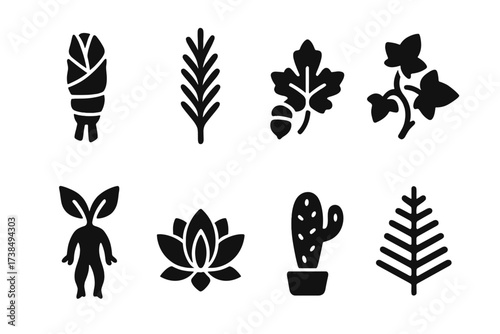 Ritual Plant Icons. Solid, filled icon set of ritual plants: sage, rosemary, oak, ivy, mandrake, lotus, cactus, cedar. Solid, filled icons in only black color.