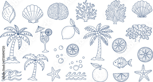 Hand-drawn tropical beach vector set with seashells, citrus fruits, cocktail, coral, fish, palm trees, waves, bubbles, and brain