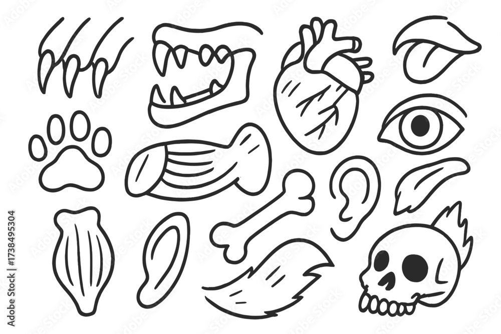 Naklejka premium Carnivore Anatomy Doodles. Hand-drawn doodle illustration carnivore anatomy teeth, claws, paw print, jaw, muscle, bone, heart, eye, nose, ear, tongue, tail,