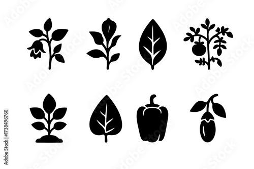 Nightshade Icon Grid. Solid, filled icon set of medicinal nightshades: belladonna, datura, tobacco leaf, tomato plant, potato sprout, eggplant leaf, capsicum