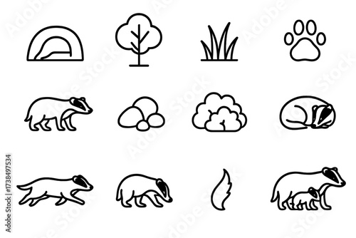 Badger Habitat Icons. Badger habitat. Line icon set of badger habitat: burrow, tree, grass, paw print, badger, rocks, bushes, sleeping badger, running badger,