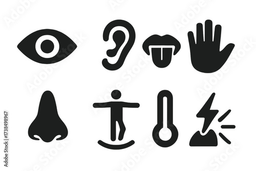 Body Senses Icons. Solid, filled icon set of body senses: sight, hearing, taste, touch, smell, balance, temperature, pain. Solid, filled icons in only black