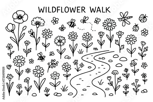 Wildflower Doodle Walk. Wildflower Walk. Hand-drawn doodle illustration poppies, cornflowers, daisies, buttercups, bees, ladybugs, dragonflies, grass tufts,