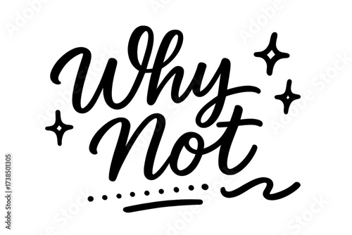 Playful Script Art. Why Not ? Script Hand-Lettering with playful brush style, semi-cursive fast curves, thin expressive connectors, transparent background,