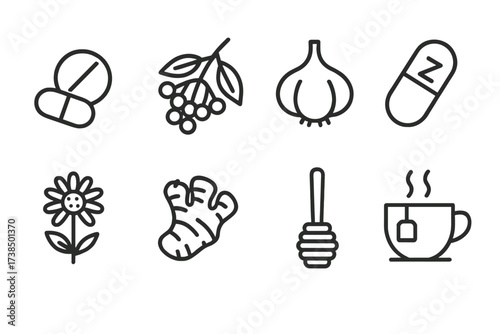 Natural Remedy Icons. Outline icon set of natural remedy immune support: vitamin C tablet, elderberry, garlic bulb, zinc capsule, echinacea flower, ginger