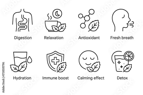 Mint Tea Icon Set. Outline icon set of mint tea health benefits: digestion, relaxation, antioxidant, fresh breath, hydration, immune boost, calming effect,