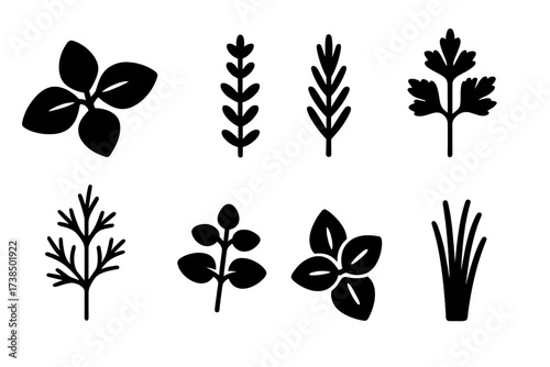 Culinary Herb Icons. Solid, filled icon set of culinary herbs: basil, thyme, rosemary, parsley, dill, oregano, mint, chives. Solid, filled icons in only black