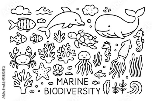 Marine Life Doodle. Marine biodiversity. Hand-drawn doodle illustration marine biodiversity coral reef, tropical fish, turtle, starfish, seahorse, dolphin,