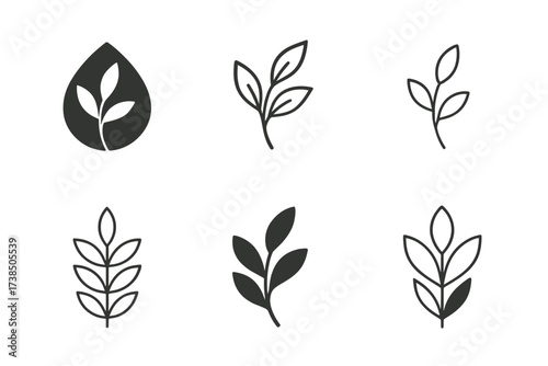 Nature Vibe Logos. Nature vibe package design. Set Logo of Nature vibe package design: herbal sprig. harmonious logo variations of the same emblematic concept,