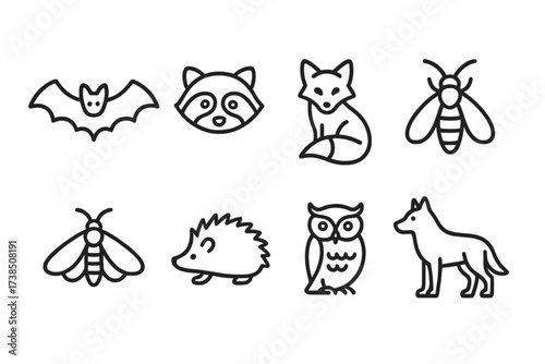 Nocturnal Animals Icon Set. Outline icon set of nocturnal animals: bat, raccoon, fox, firefly, moth, hedgehog, owl, wolf. [Line icons in only black color,