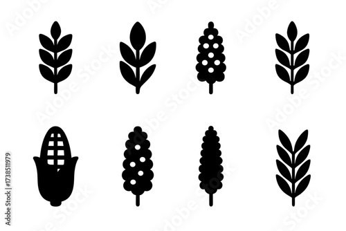 Grain Icon Collection. Solid, filled icon set of hand-picked grains: wheat, rice, barley, oats, corn, quinoa, millet, rye. [Line icons in only black color. All