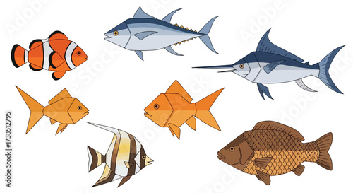 Diverse Collection of Artistic Fish Illustrations Clownfish Tuna Swordfish Goldfish Moorish Idol and Carp