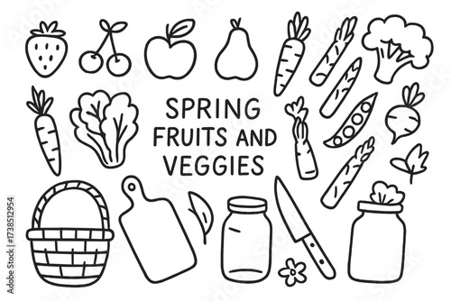 Spring Harvest Doodles. Hand-drawn doodle illustration Spring fruits and veggies strawberry, cherry, apple, pear, carrot, lettuce, radish, pea pod, asparagus,