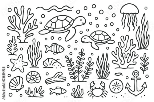 Coral Reef Doodle. Hand-drawn doodle illustration Coral reef ecosystem with sea turtles sea turtle, coral, fish, seaweed, starfish, shell, jellyfish, crab,