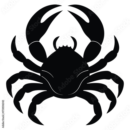 deep sea crab with exaggerated claws in flat color