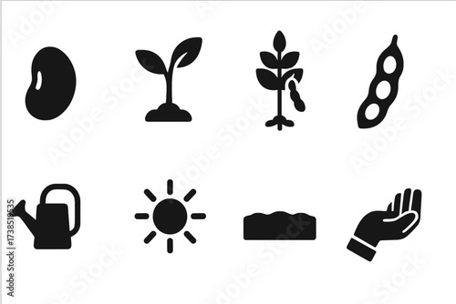 Plant Growth Icons. Solid, filled icon set of plant growth: soybean seed, sprouting plant, mature soybean plant, pod, watering can, sun, soil, farmer's hand.