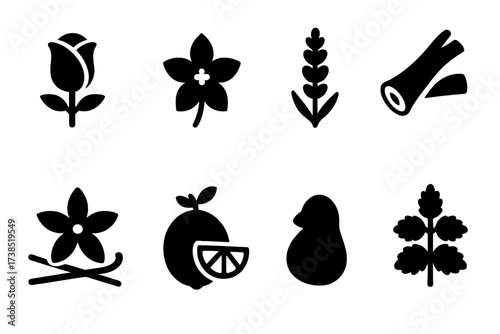 Perfume Ingredient Icons. Solid, filled icon set of perfume ingredients: rose, jasmine, lavender, sandalwood, vanilla, citrus, musk, patchouli. Solid, filled