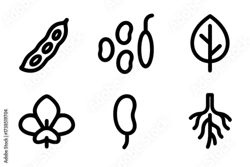Bean Pod Icon Set. Solid, filled icon set of bean pod parts: pod shell, beans inside, pod stem, leaf, flower, seed coat, pod vein, root system. [Line icons in