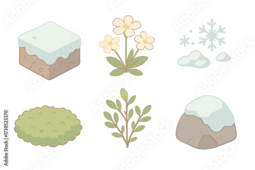 Arctic Flora Illustration. Isometric vector illustration set Arctic flora survival: frozen tundra permafrost plant, saxifrage