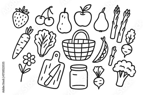 Spring Harvest Doodles. Hand-drawn doodle illustration Spring fruits and veggies strawberry, cherry, apple, pear, carrot, lettuce, radish, pea pod, asparagus,
