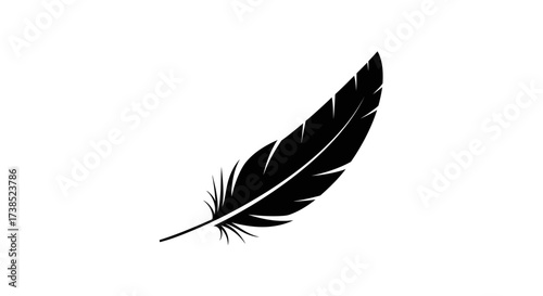 Elegant and minimalist depiction of a single black feather on white backdrop