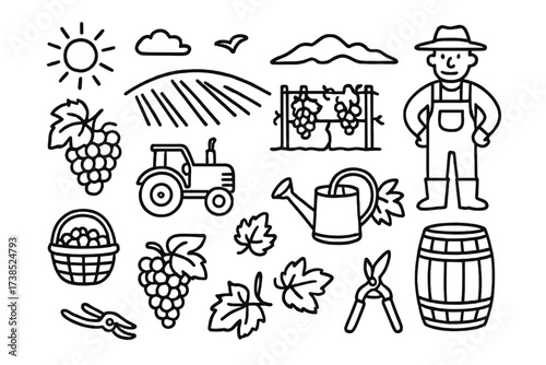 Vineyard Doodle Icons. Hand-drawn doodle illustration Vineyard landscape vine rows, grape clusters, trellis, soil, sun, farmer, tractor, basket, watering can,