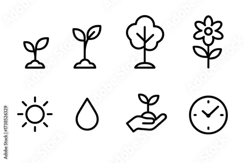 Generational Growth Icons. Outline icon set of generational growth: seedling, sapling, tree, flower, sun, water drop, hand nurturing, clock. Line icons in only