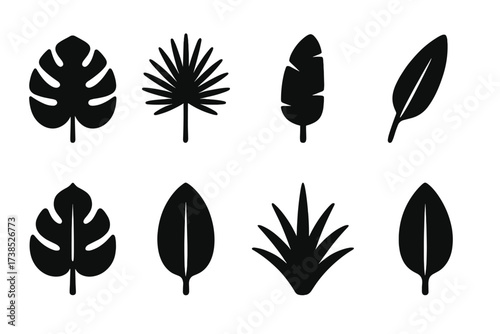 Tropical Leaf Icons. Solid, filled icon set of tropical leaves: monstera leaf, palm leaf, banana leaf, bird of paradise leaf, philodendron leaf, rubber plant