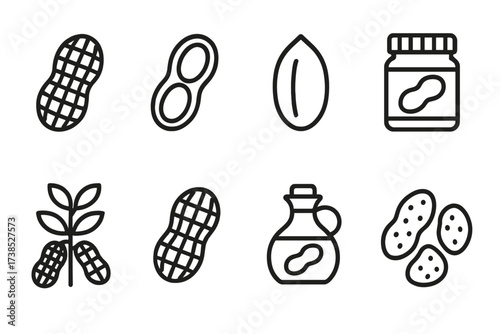 Peanut Icon Set. Outline icon set of peanuts: whole peanut, peanut shell, peanut kernel, peanut butter jar, peanut plant, peanut pod, peanut oil bottle,