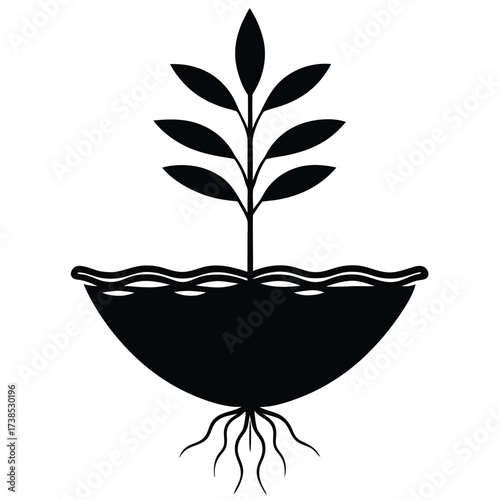 minimal floating water plant with roots visible