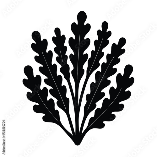 minimal sea lettuce green algae in flat style