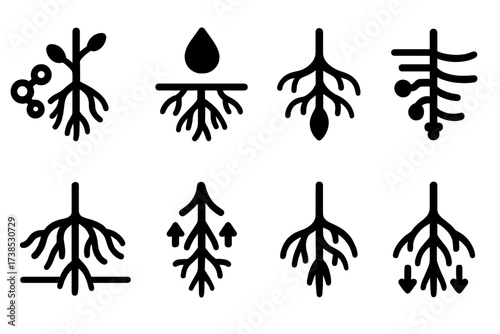 Root System Icon Set. Solid, filled icon set of root structure and functions: nutrient absorption, water uptake, anchorage, root hairs, root