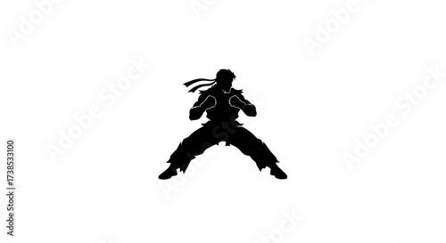 Silhouette of a martial artist in a fighting stance against a white background minimal