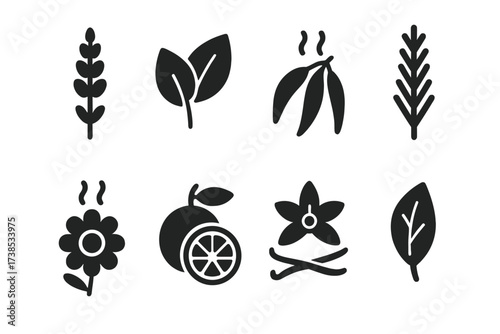 Salve Scent Icons. Solid, filled icon set of salve scents: lavender, peppermint, eucalyptus, rosemary, chamomile, citrus, vanilla, tea tree. Solid, filled