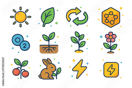 Colorful Energy Cycle Icons. Energy cycle. Colorful isometric vector icons set of energy cycle: sun, plant leaf, photosynthesis arrow, glucose icon, oxygen