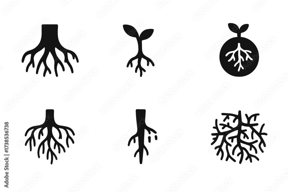 Fototapeta premium Root System Icons. Solid, filled icon set of roots and underground growth: tree roots, plant roots, root ball, root system, taproot, root hairs, root