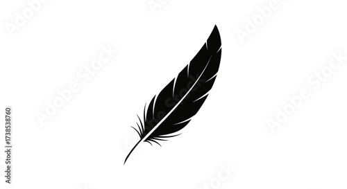 Elegant black feather illustration on a clean white background emphasizing simplicity and grace