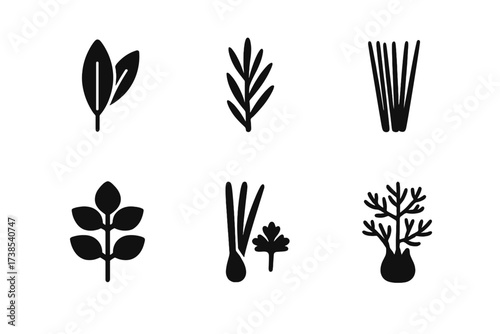 Culinary Herb Icons. Solid, filled icon set of culinary herbs: sage, tarragon, chives, bay leaf, marjoram, lemongrass, coriander, fennel. Solid, filled icons
